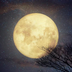 Full Moon Gatherings